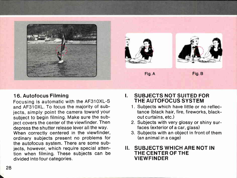 Checking the recording levei, Checking the recording level | Canon AF310XL User Manual | Page 28 / 66