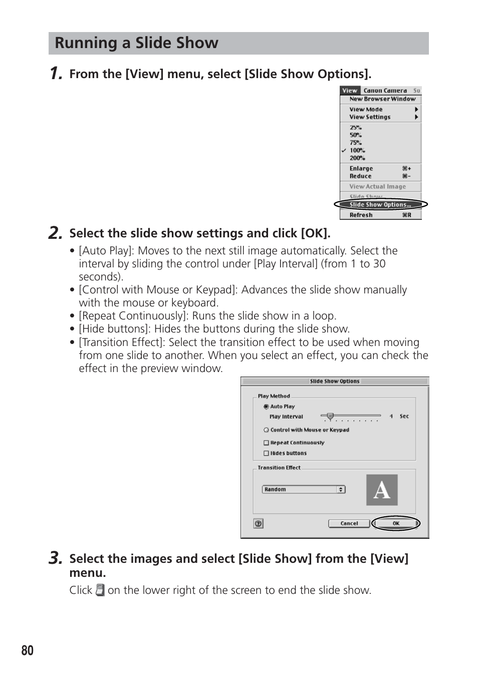 Running a slide show | Canon DIM-538 User Manual | Page 80 / 100