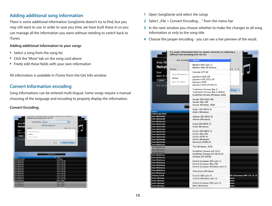 Adding additional song information, Convert information encoding | equinux SongGenie 2.2.7 User Manual | Page 13 / 24