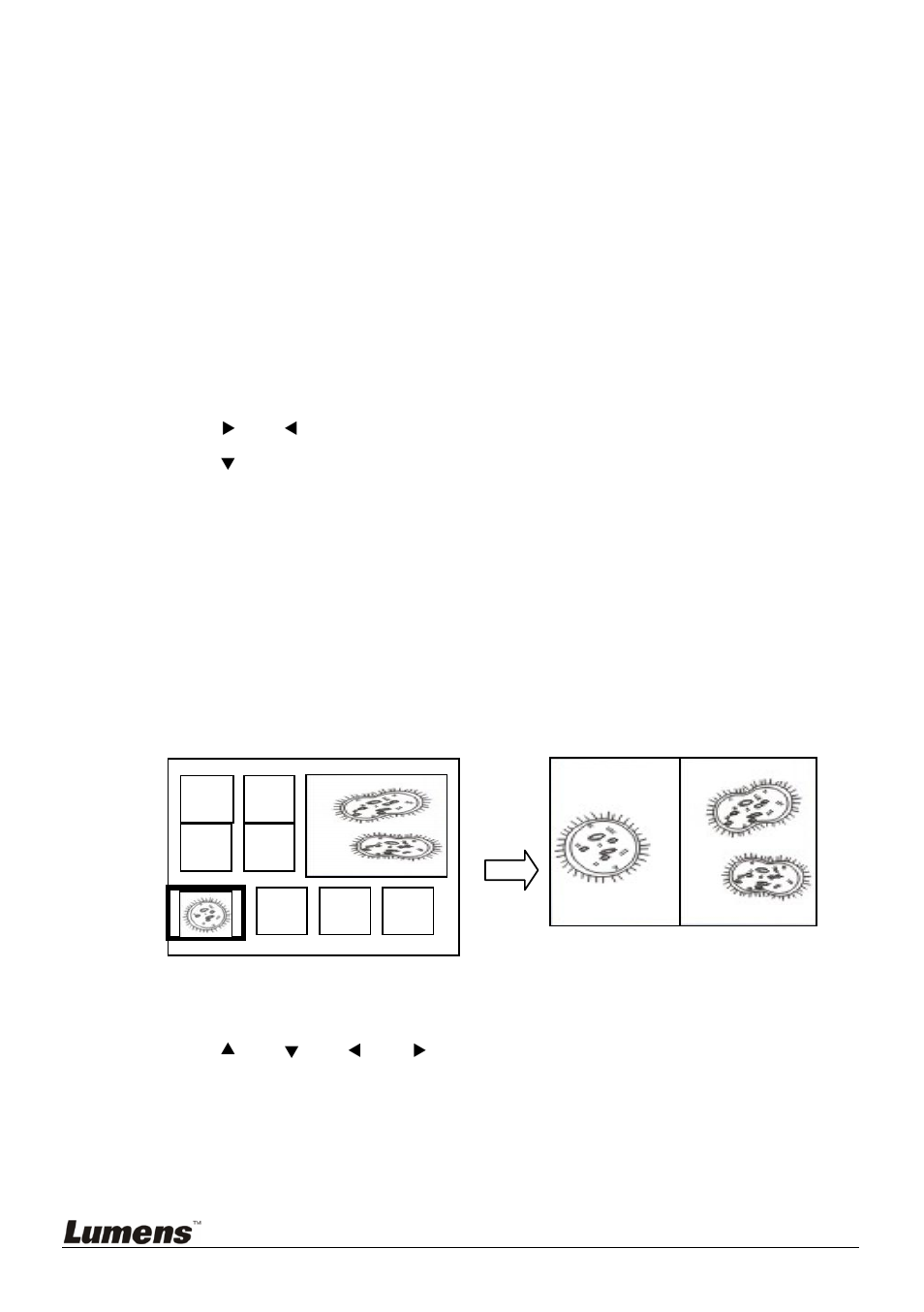 Comparing live images with stored images (pbp), 16 comparing live images with stored images (pbp), 3 start/pause/stop playing images | Lumens Technology DC166 User Manual | Page 28 / 36