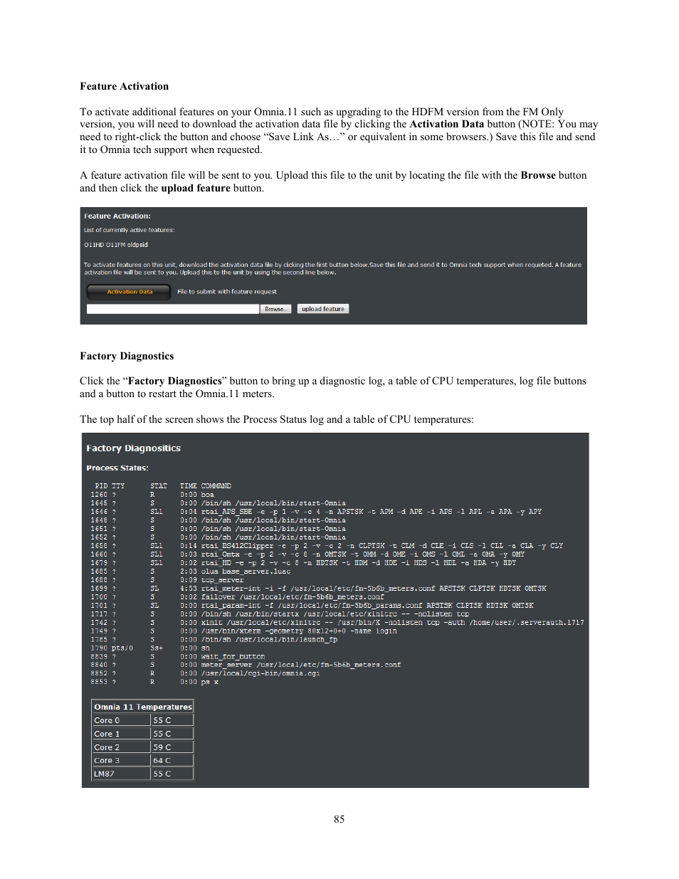 Feature activation, Factory diagnostics | Omnia Audio Omnia.11 User Manual | Page 101 / 102