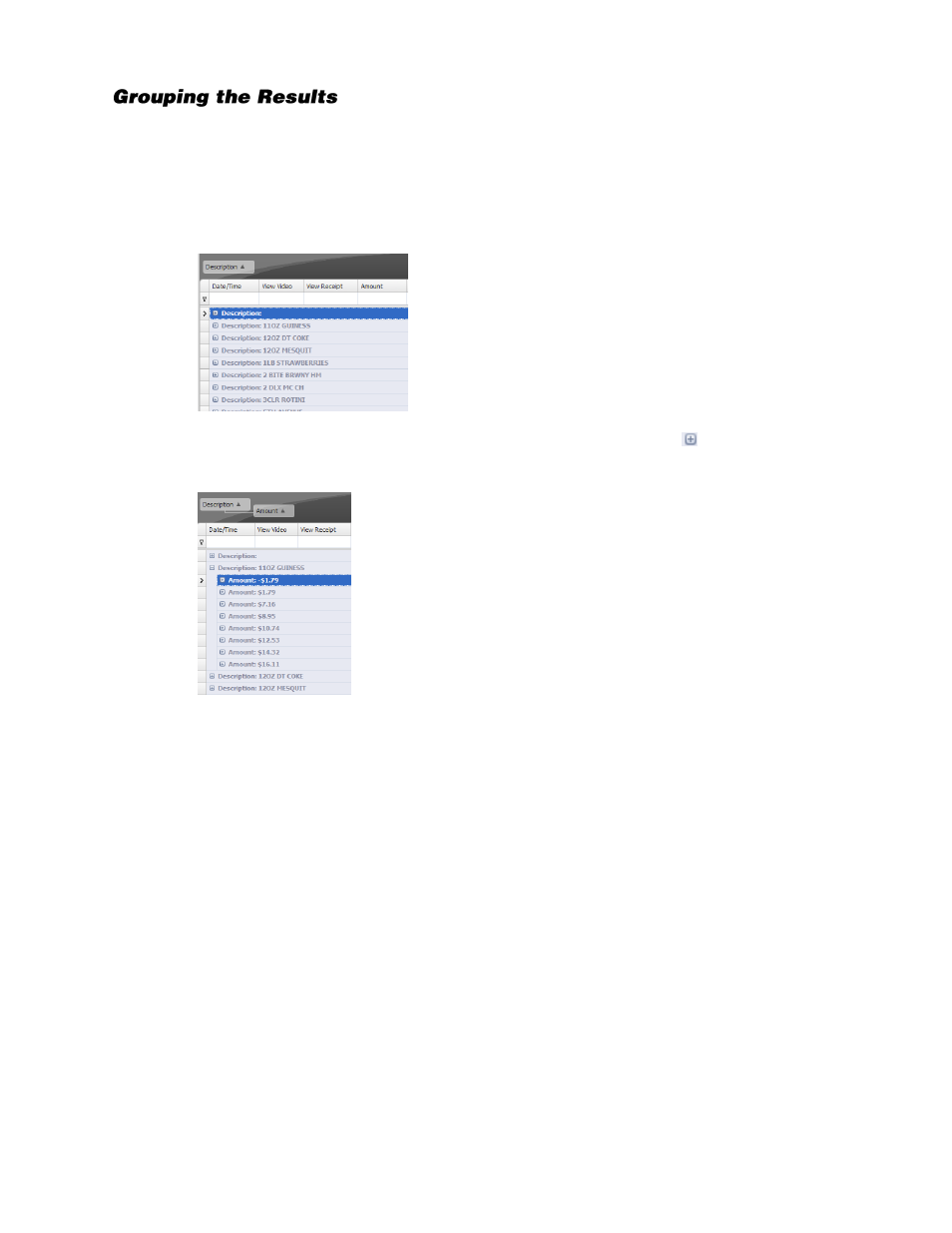 Grouping the results | OpenEye SaleGuard User Manual | Page 41 / 62