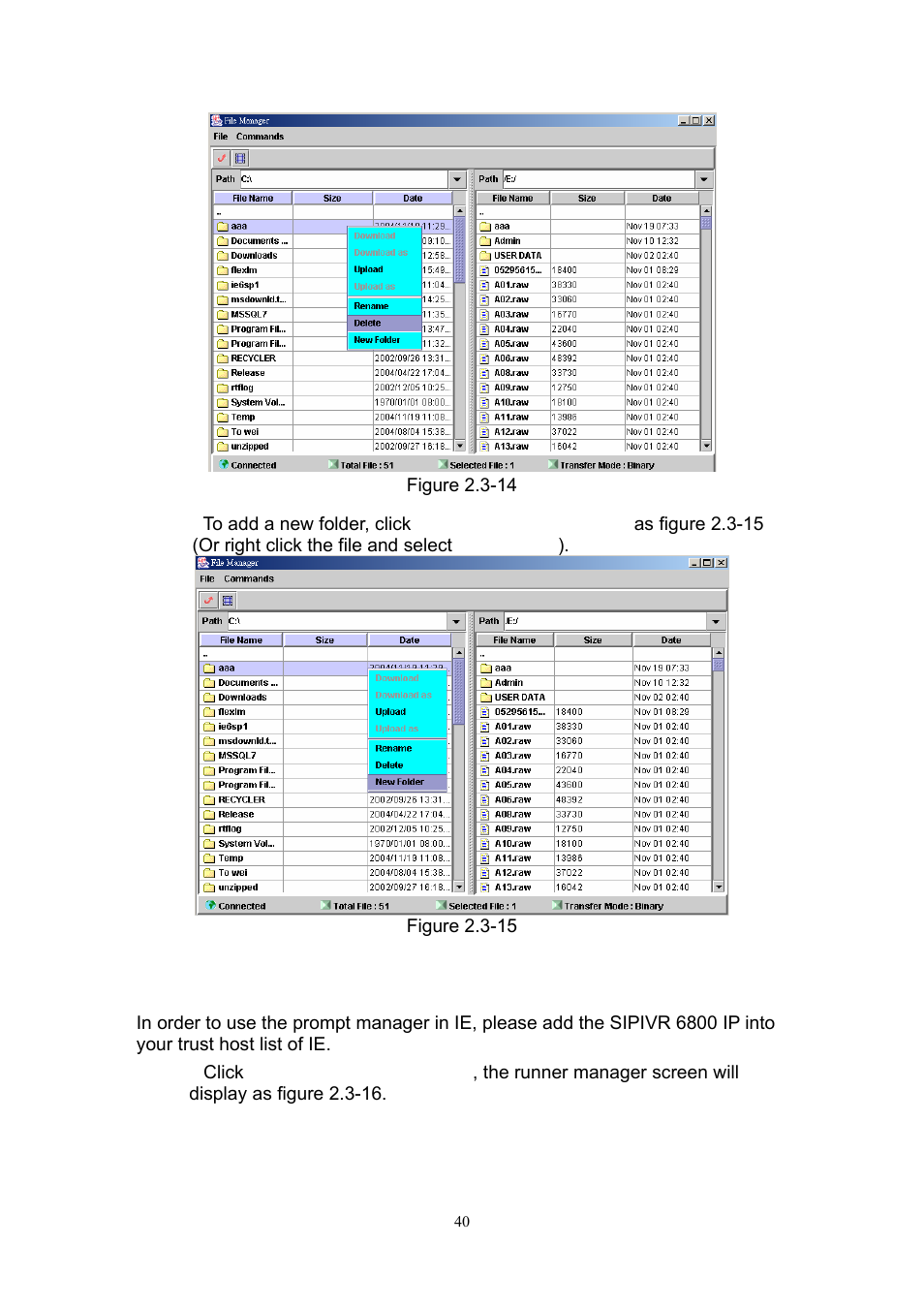 Welltech SIPIVR 6800GS V.2.1 User Manual | Page 41 / 129