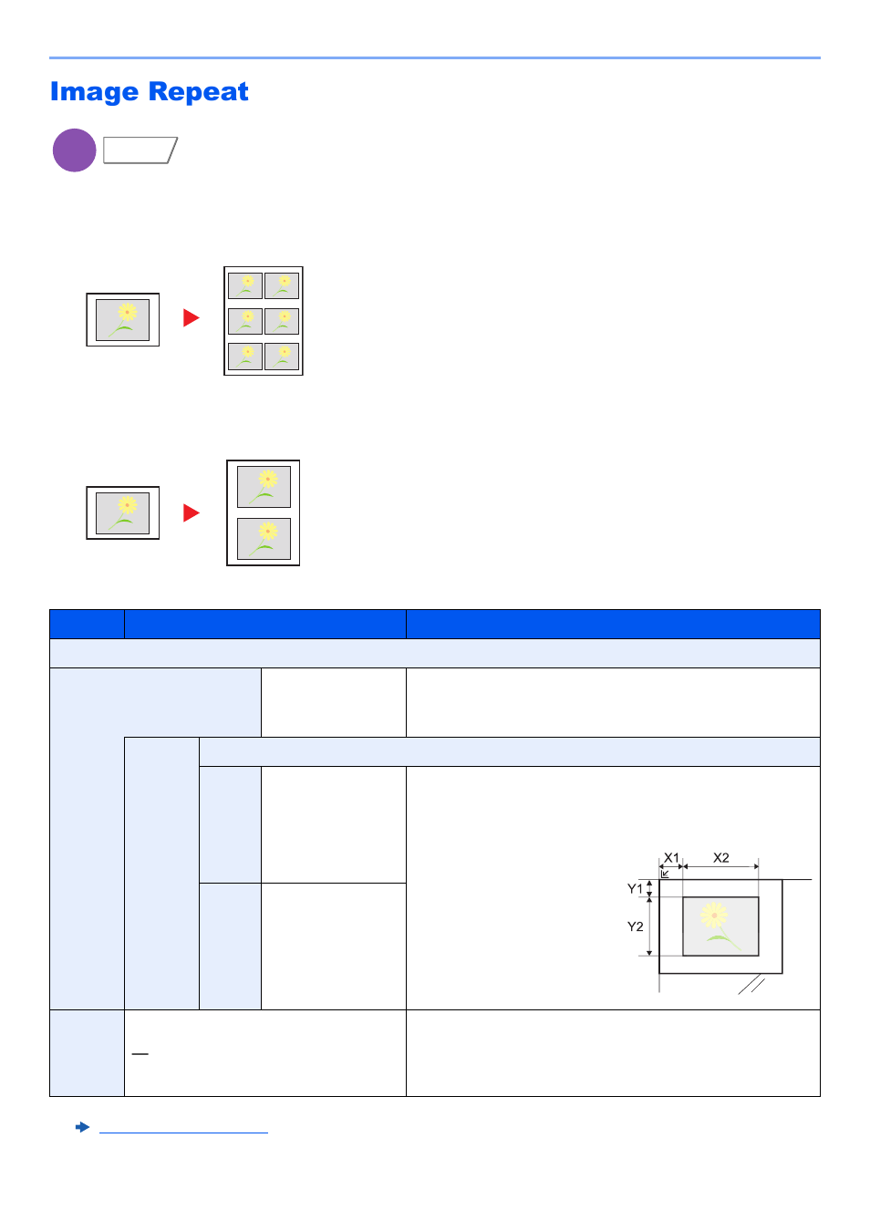 Image repeat, Image repeat -62, Zoom priority double copy | Kyocera TASKalfa 2552ci User Manual | Page 342 / 682