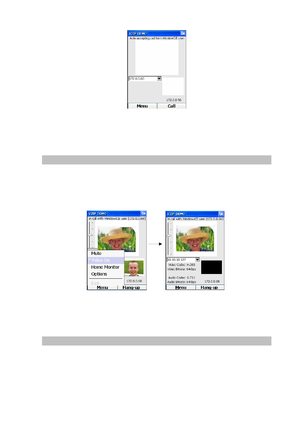 Turn off my video transmission, Mute | PLANET VIP-191 User Manual | Page 47 / 130