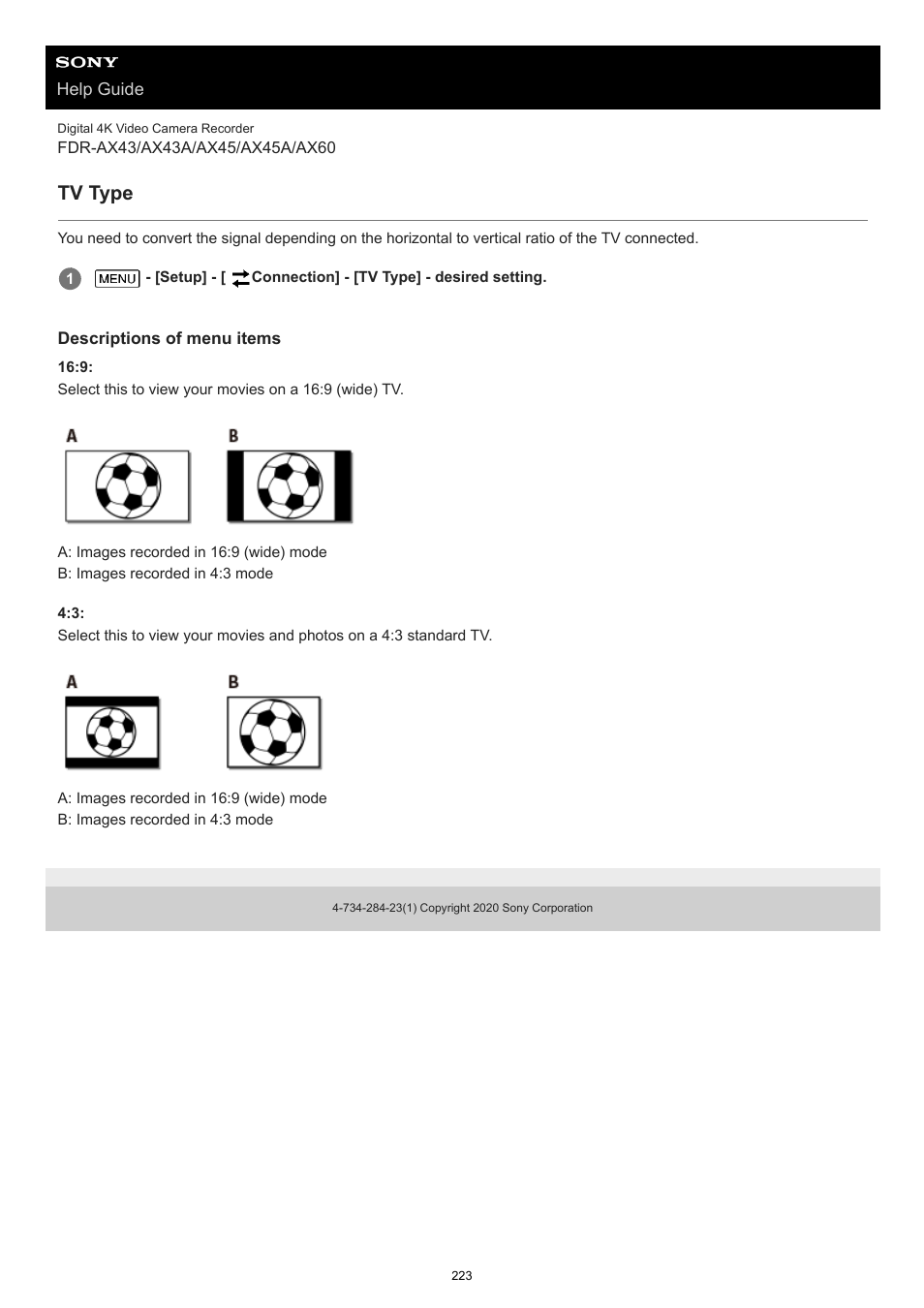 Tv type | Sony BRAVIA BZ40J 100" Class 4K UHD HDR Commercial Monitor User Manual | Page 223 / 353