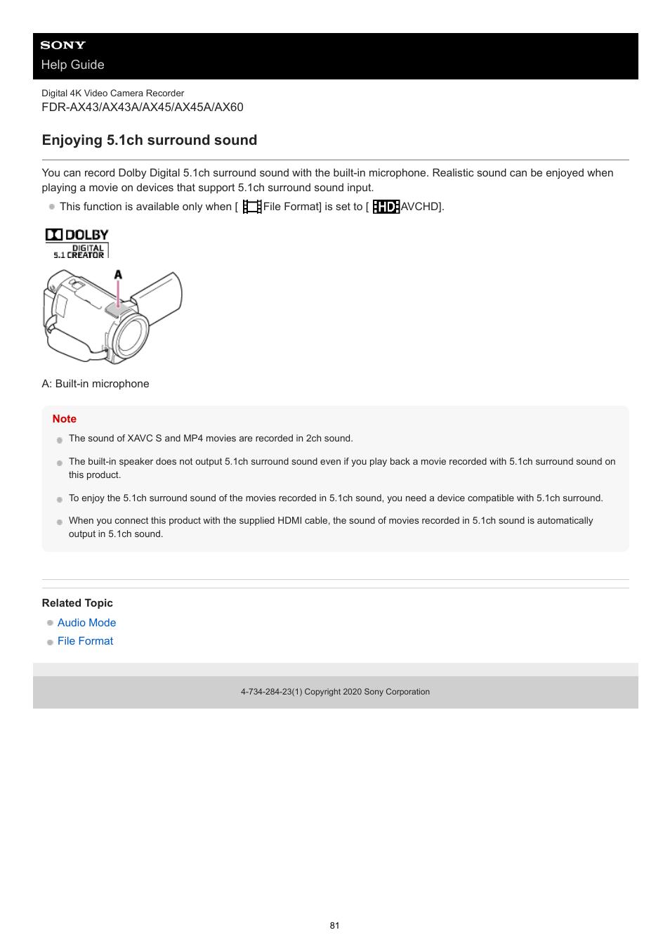 Enjoying 5.1ch surround sound | Sony BRAVIA BZ40J 100" Class 4K UHD HDR Commercial Monitor User Manual | Page 81 / 353