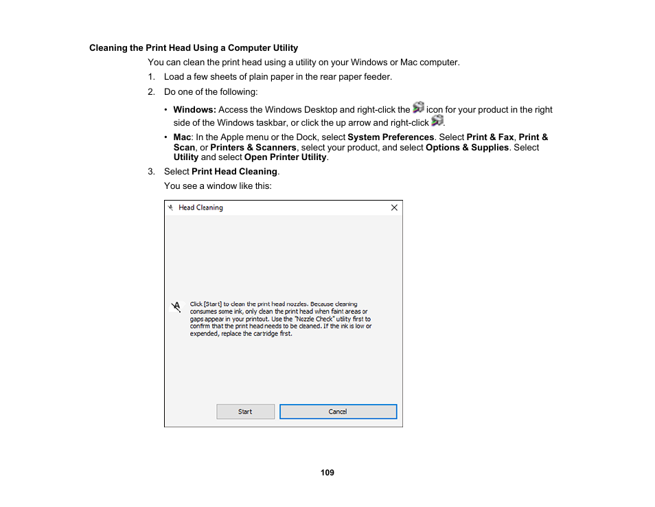 Cleaning the print head using a computer utility | Epson SureColor P900 17" Photo Printer User Manual | Page 109 / 158
