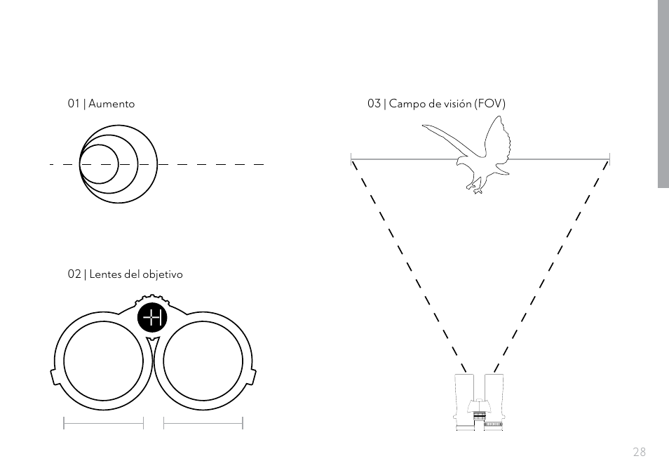 Hawke Optics 8x32 Frontier HD X Binoculars (Gray) User Manual | Page 29 / 44