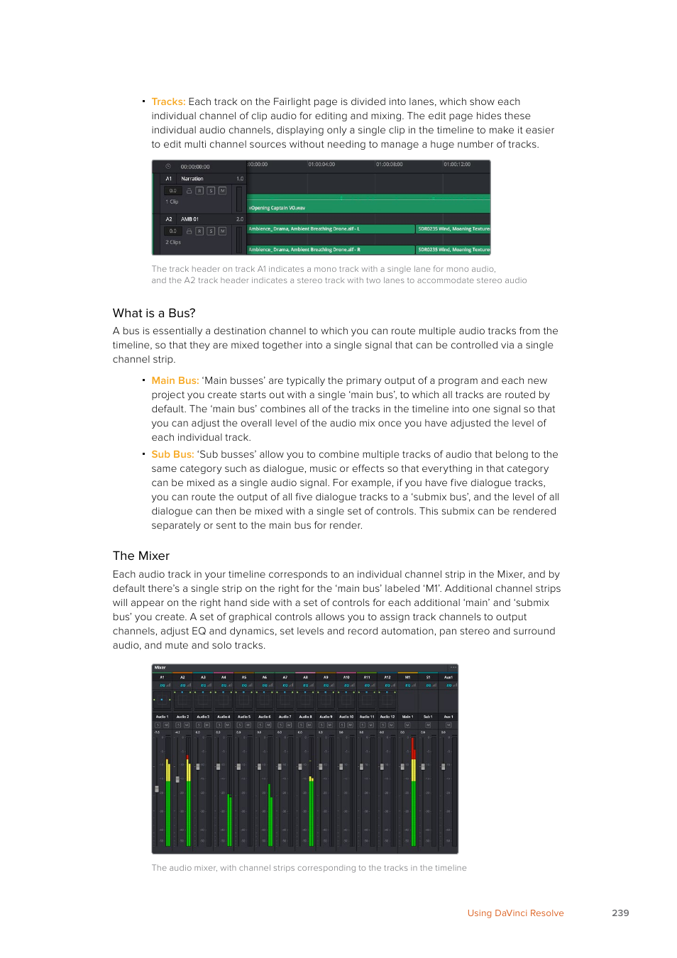 Blackmagic Design URSA Mini Pro 12K (PL) User Manual | Page 239 / 294
