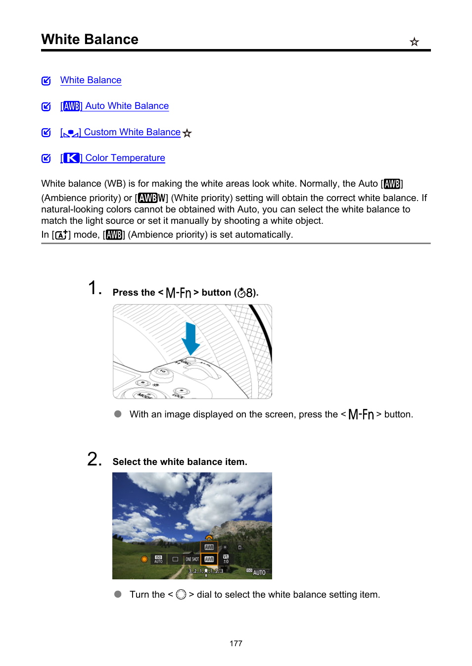 White balance, And flash exposure | Canon EOS R5 C VR Creator Kit with RF 5.2mm f/2.8 Dual Fisheye Lens User Manual | Page 177 / 787