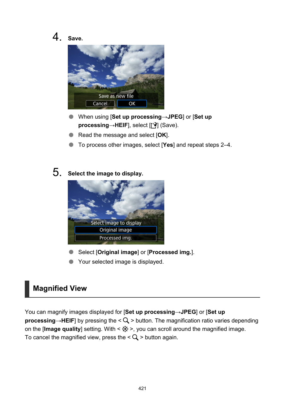 Magnified view | Canon EOS R5 C VR Creator Kit with RF 5.2mm f/2.8 Dual Fisheye Lens User Manual | Page 421 / 787