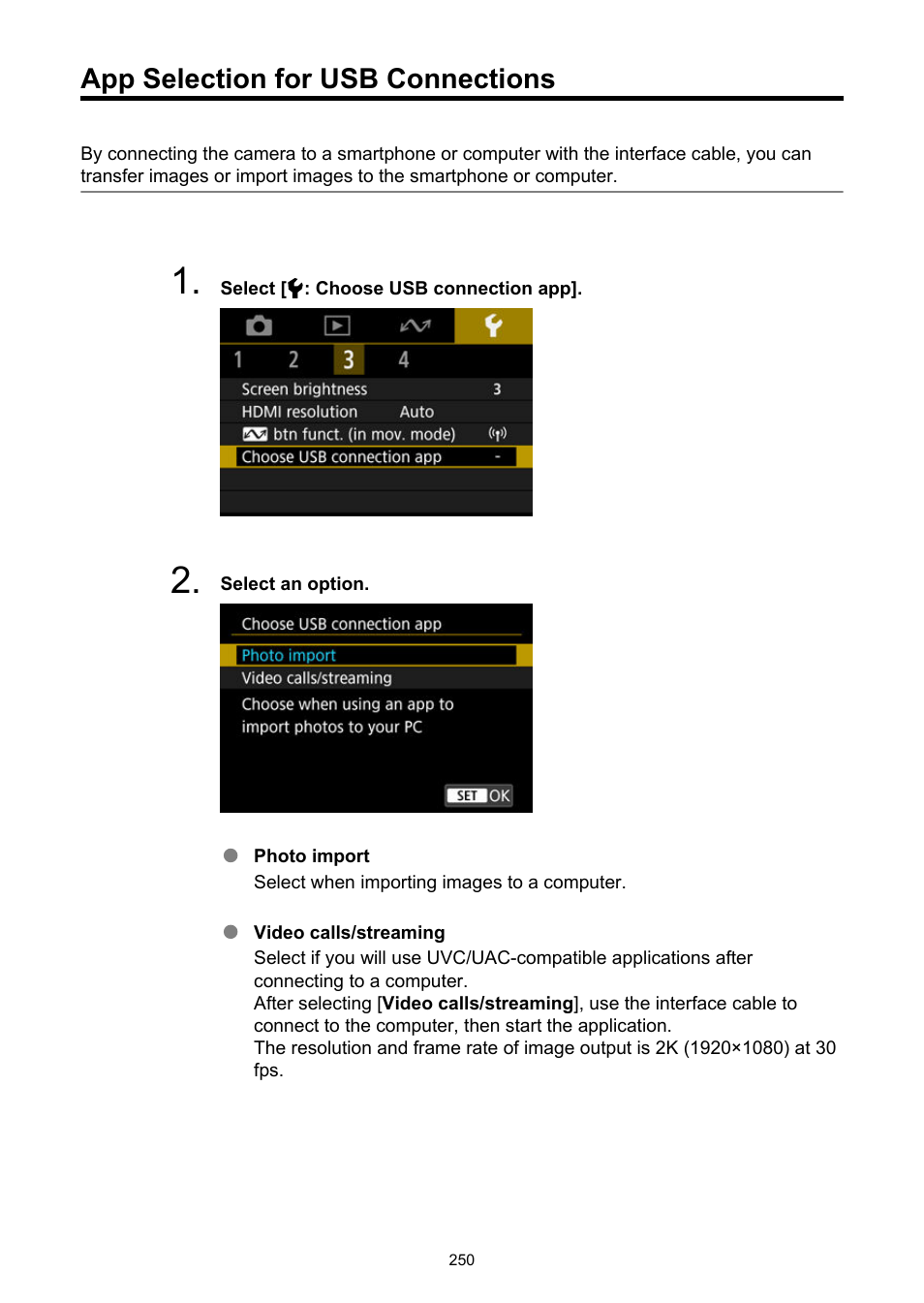 App selection for usb connections, Choose usb connection app | Canon PowerShot V10 Vlog Camera (Black) User Manual | Page 250 / 288