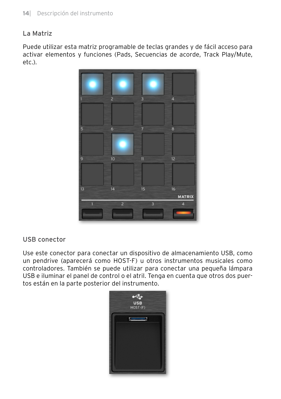 KORG Pa5X-88 88-Key Arranger Keyboard User Manual | Page 168 / 232