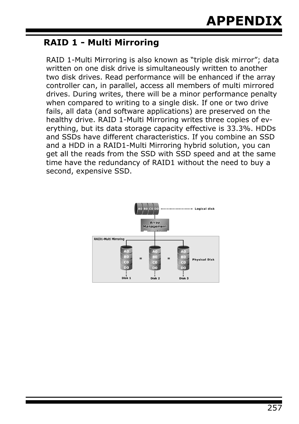 Raid 1 - multi mirroring, Appendix | Areca 24/4 Internal/External Port Pcie 3.0 12 Gb/s SAS/SATA Raid Controller 2Gb Cache User Manual | Page 257 / 264
