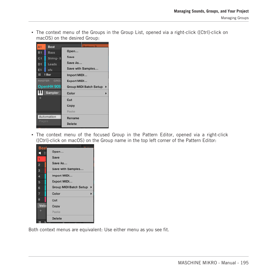 Native Instruments MASCHINE MIKRO MK3 Groove Production Studio (Black) User Manual | Page 195 / 807