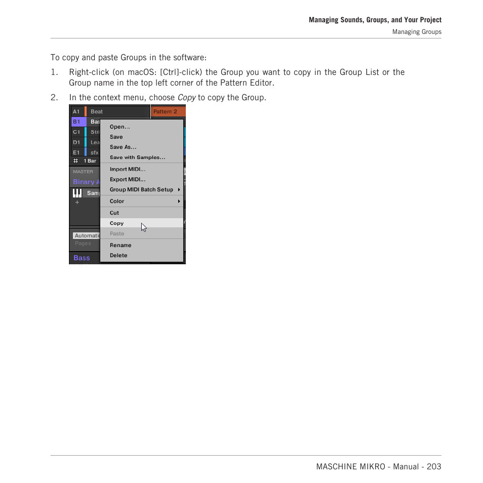 Native Instruments MASCHINE MIKRO MK3 Groove Production Studio (Black) User Manual | Page 203 / 807