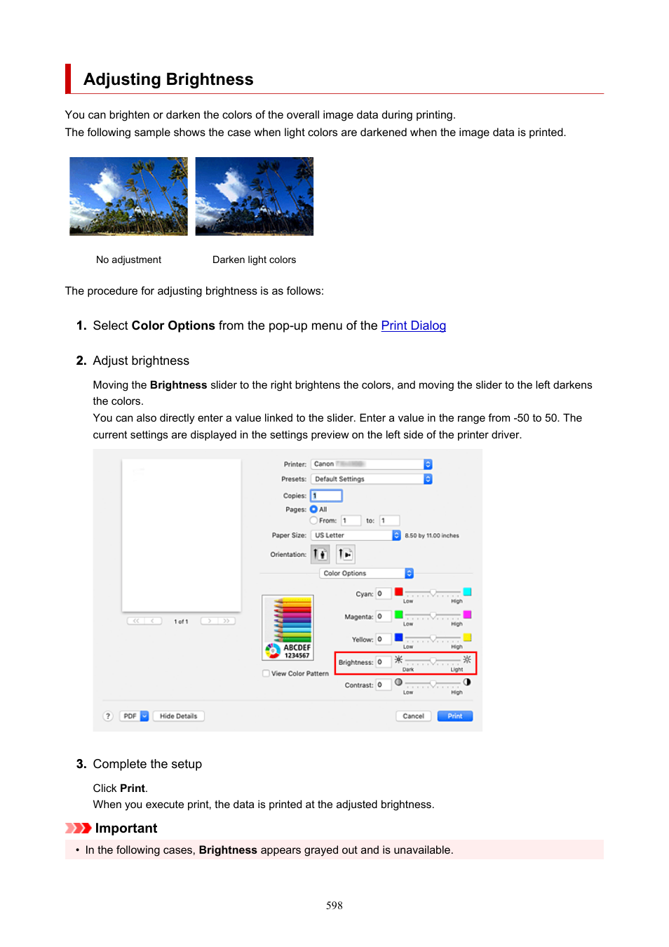 Adjusting brightness | Canon imagePROGRAF TX-3100 36" Printer with Basket User Manual | Page 598 / 1073