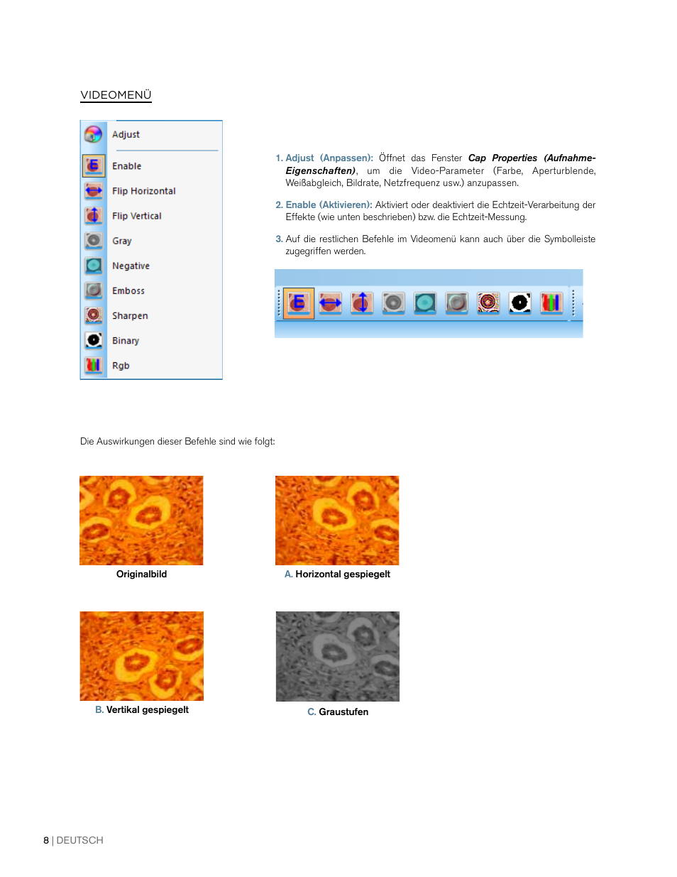 Celestron 2MP Digital Microscope Imager User Manual | Page 42 / 85