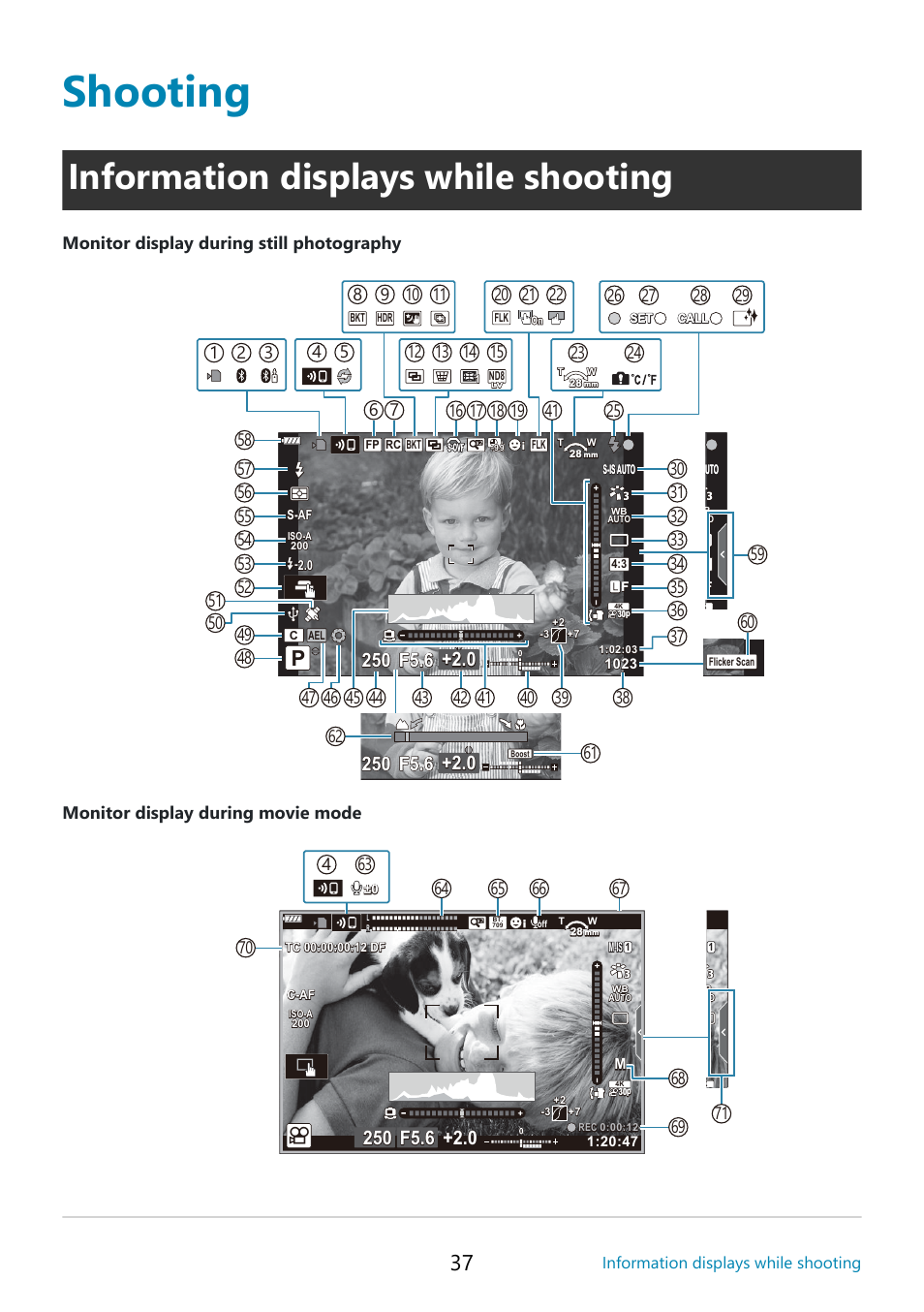 Shooting, Information displays while shooting, P. 37 | Is display, Monitor display during still photography | OM SYSTEM OM-5 Mirrorless Camera with 12-45mm f/4 PRO Lens (Silver) User Manual | Page 37 / 467