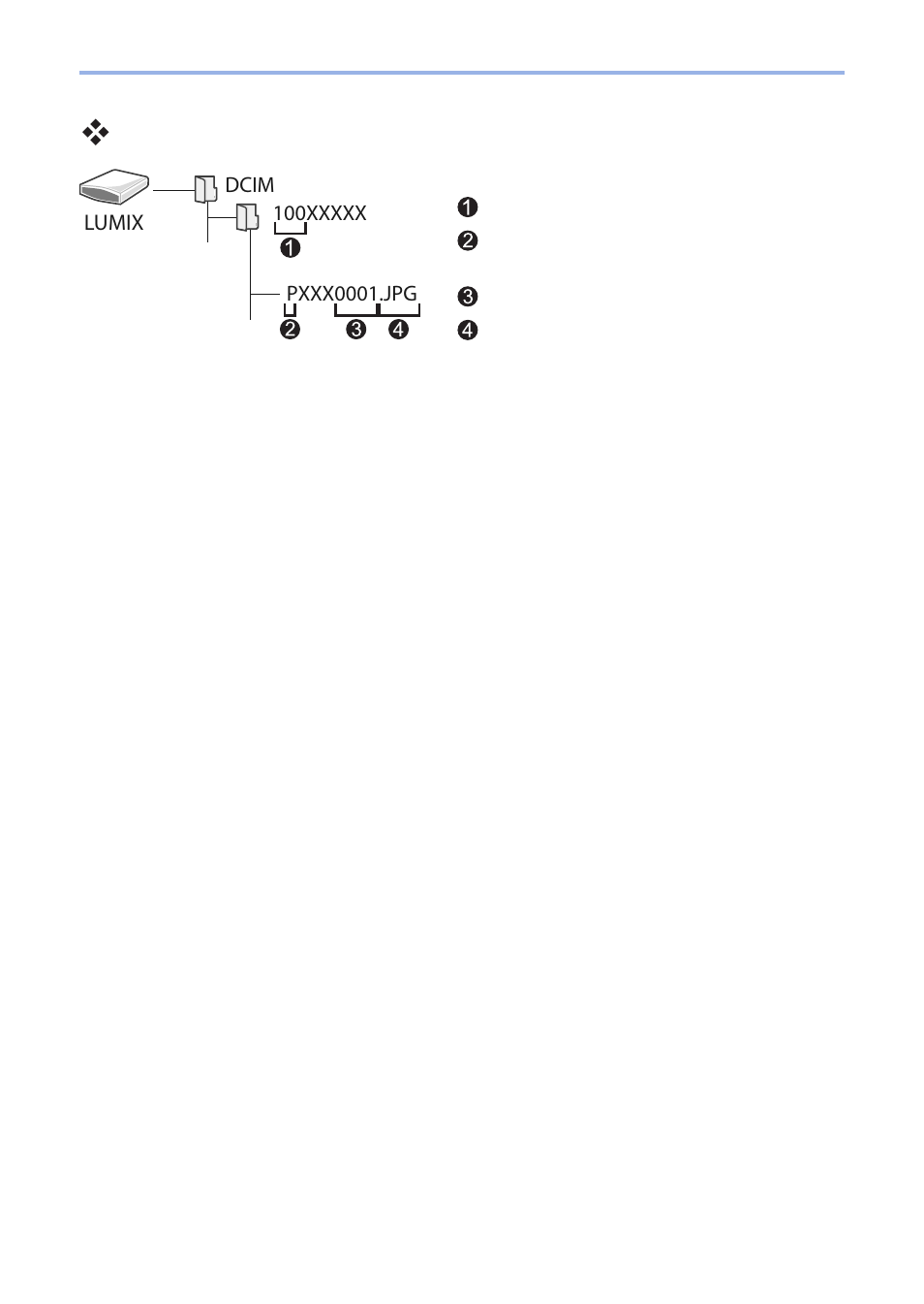 Panasonic Lumix G100 Mirrorless Camera with 12-32mm Lens User Manual | Page 439 / 509