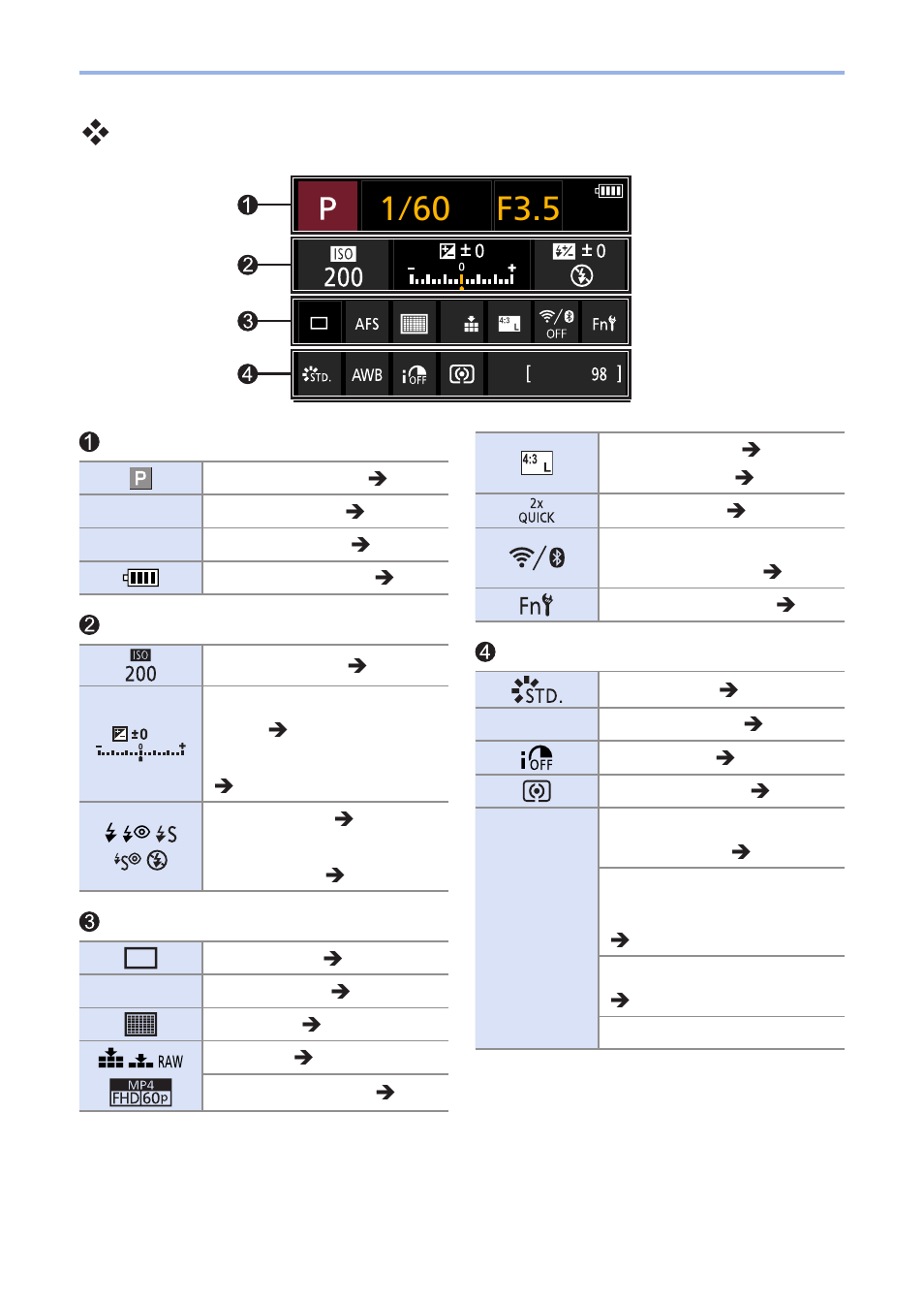 Monitor recording information screen | Panasonic Lumix G100 Mirrorless Camera with 12-32mm Lens User Manual | Page 456 / 509
