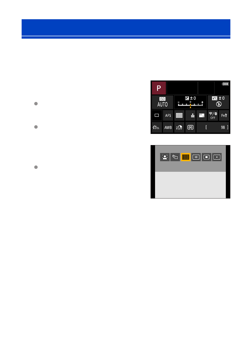 Monitor recording information screen | Panasonic Lumix G100 Mirrorless Camera with 12-32mm Lens User Manual | Page 63 / 509