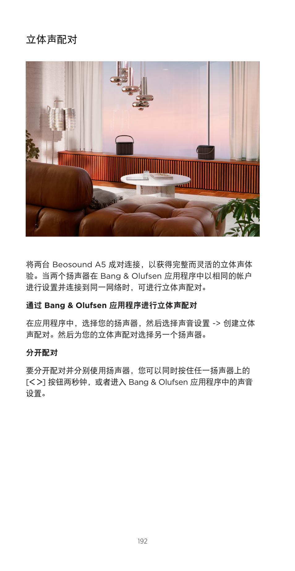 立体声配对 | Bang & Olufsen Beosound A5 Portable Wireless Speaker (Nordic Weave) User Manual | Page 192 / 213