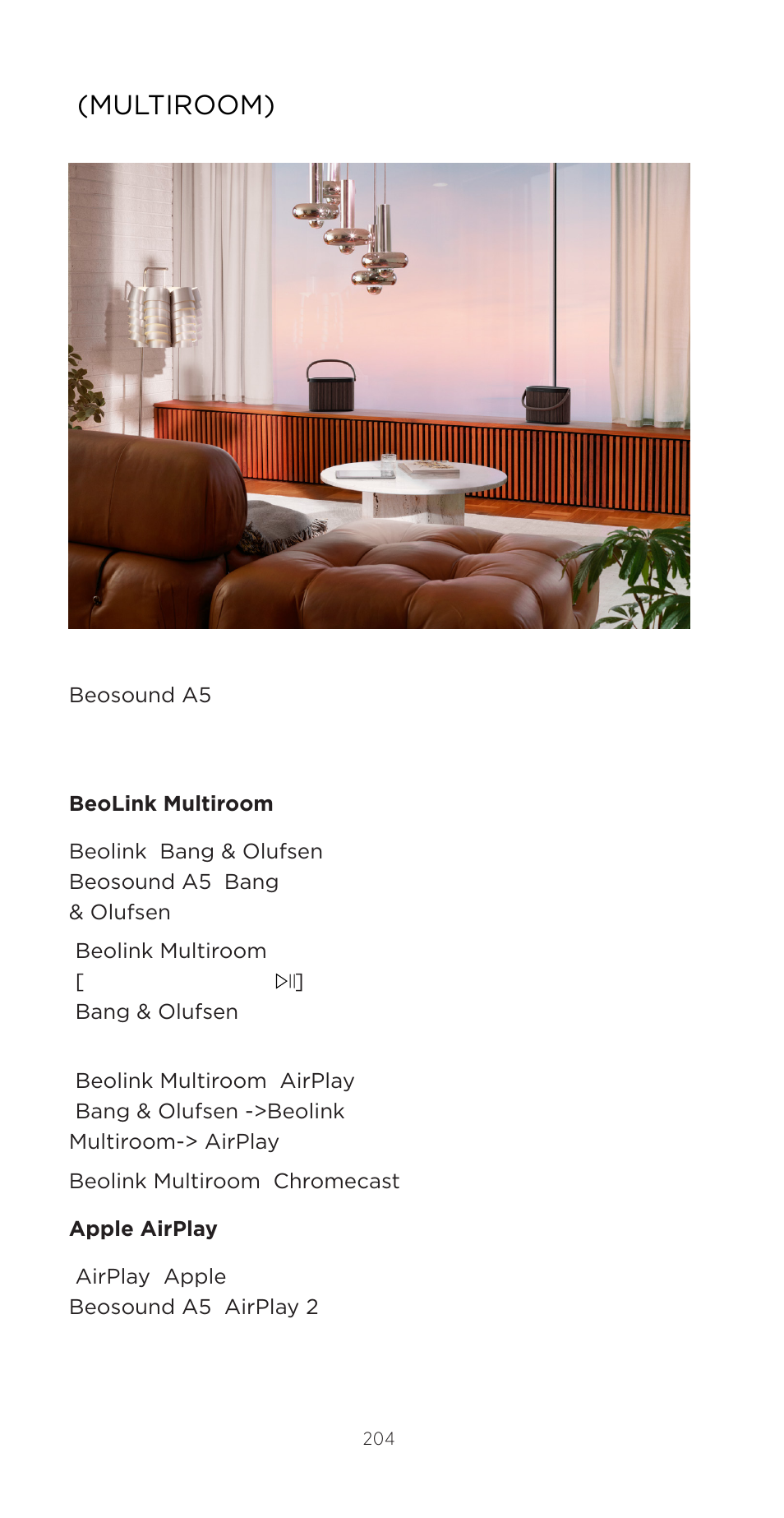 Multiroom) | Bang & Olufsen Beosound A5 Portable Wireless Speaker (Nordic Weave) User Manual | Page 204 / 213