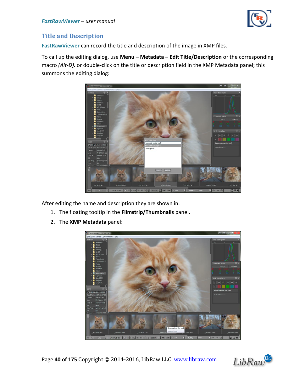 Title and description | FastRawViewer Software 2.0 (Download) User Manual | Page 40 / 175