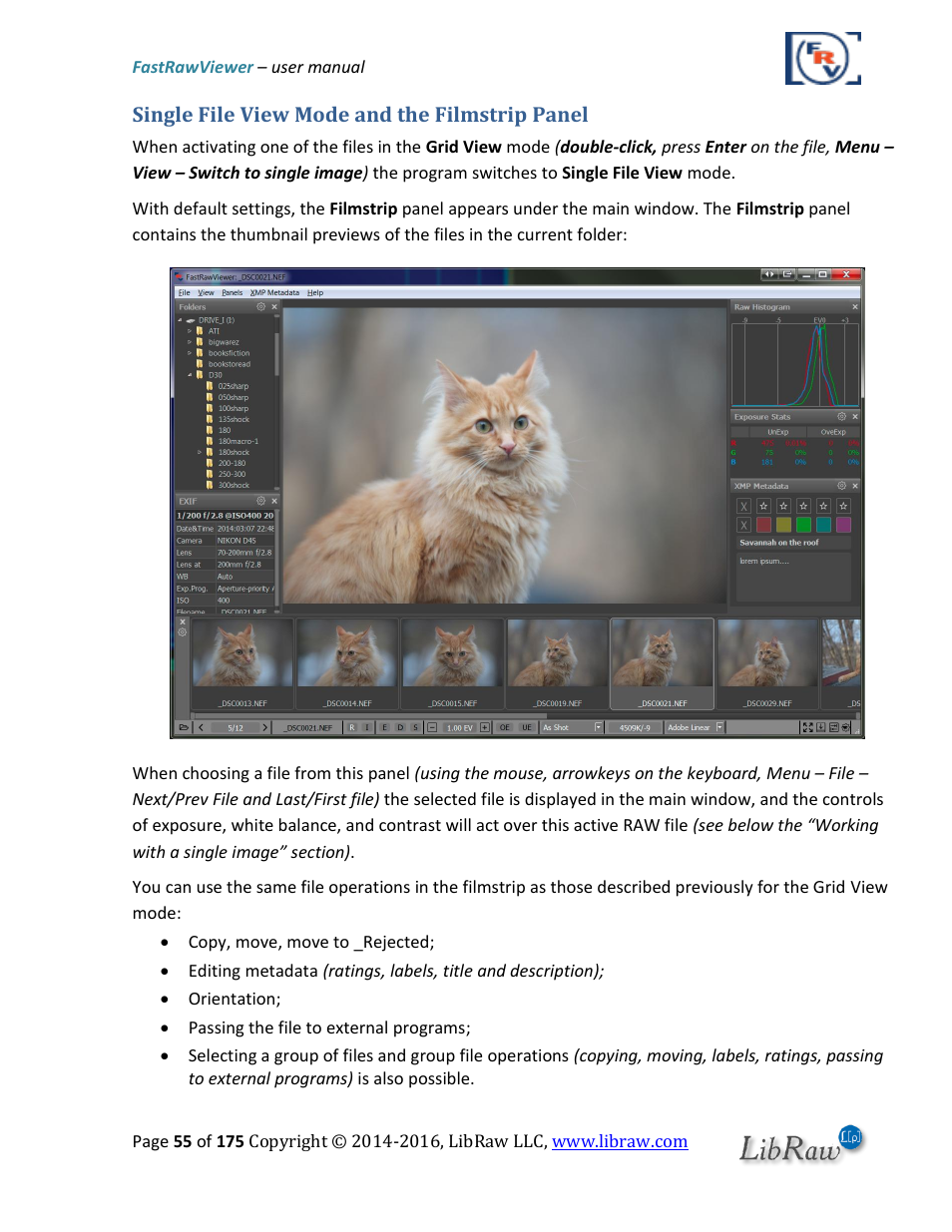 Single file view mode and the filmstrip panel | FastRawViewer Software 2.0 (Download) User Manual | Page 55 / 175