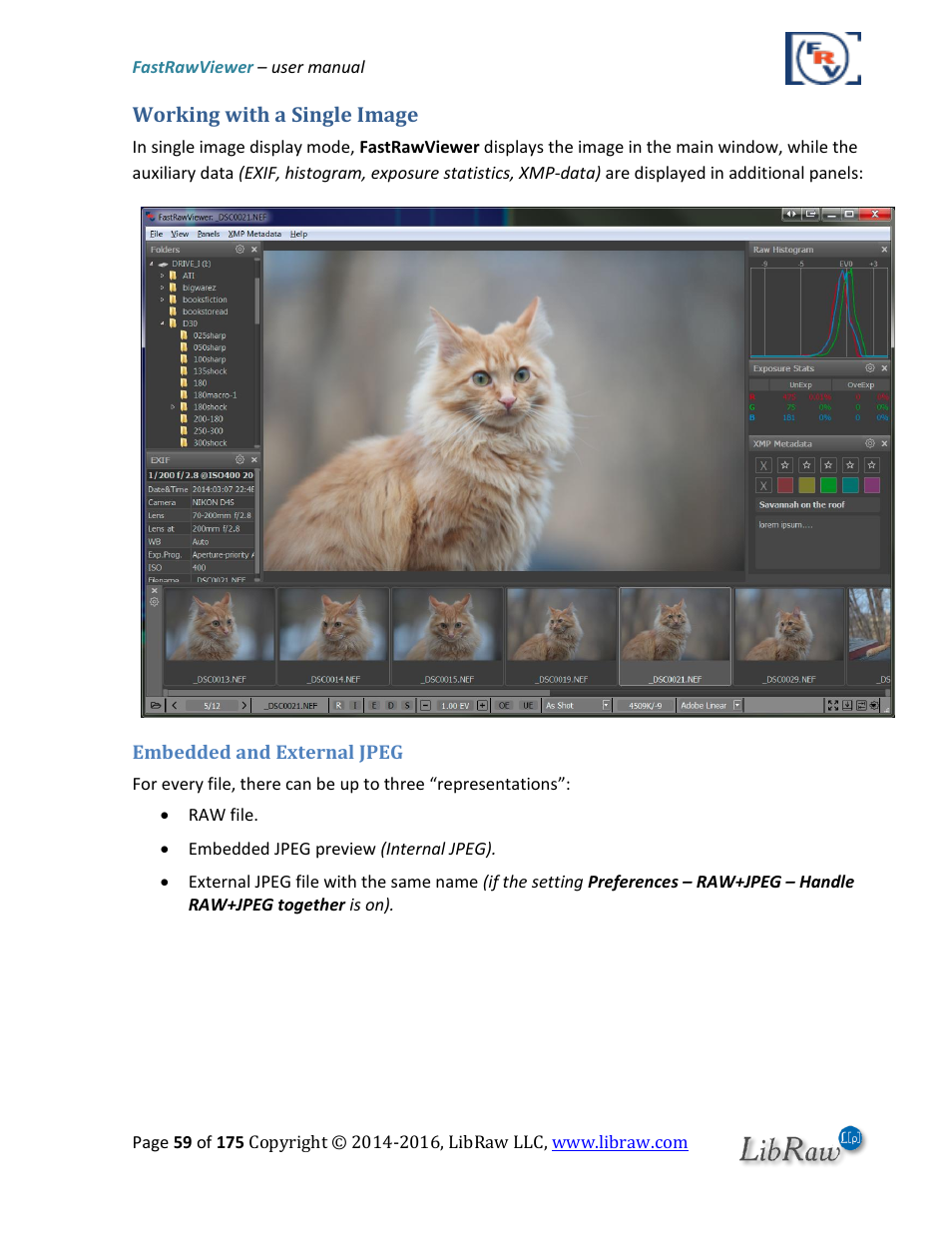 Working with a single image, Embedded and external jpeg | FastRawViewer Software 2.0 (Download) User Manual | Page 59 / 175
