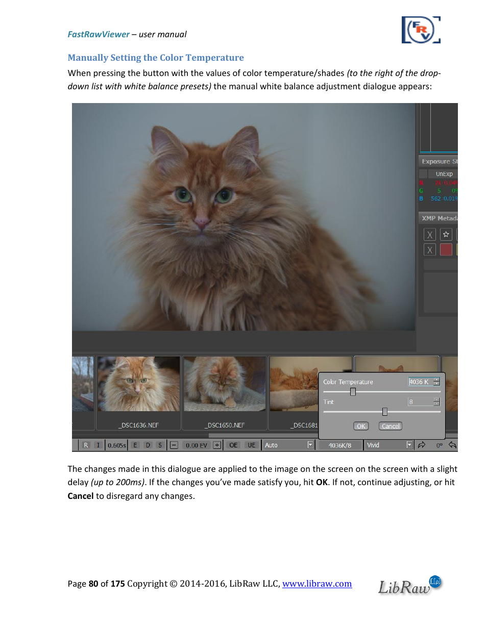 Manually setting the color temperature | FastRawViewer Software 2.0 (Download) User Manual | Page 80 / 175