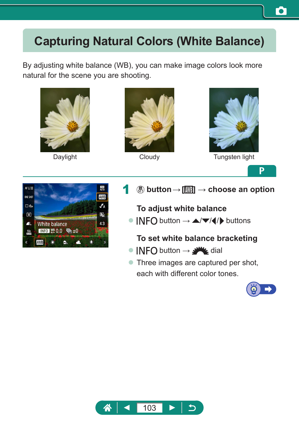 Capturing natural colors (white balance) | Canon PowerShot SX70 HS Digital Camera User Manual | Page 103 / 289