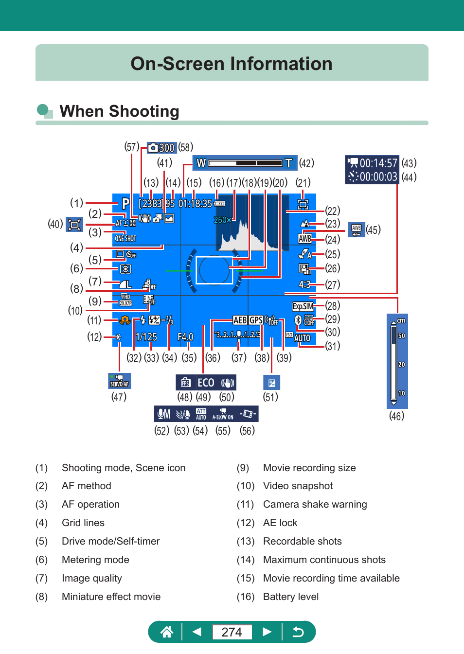 On-screen information, When shooting | Canon PowerShot SX70 HS Digital Camera User Manual | Page 274 / 289