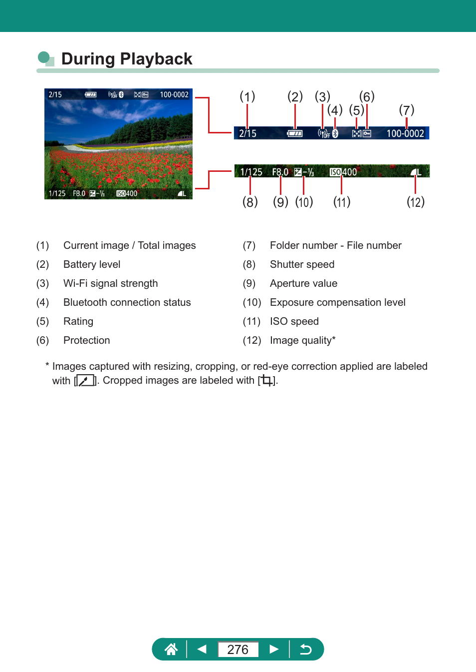 During playback | Canon PowerShot SX70 HS Digital Camera User Manual | Page 276 / 289