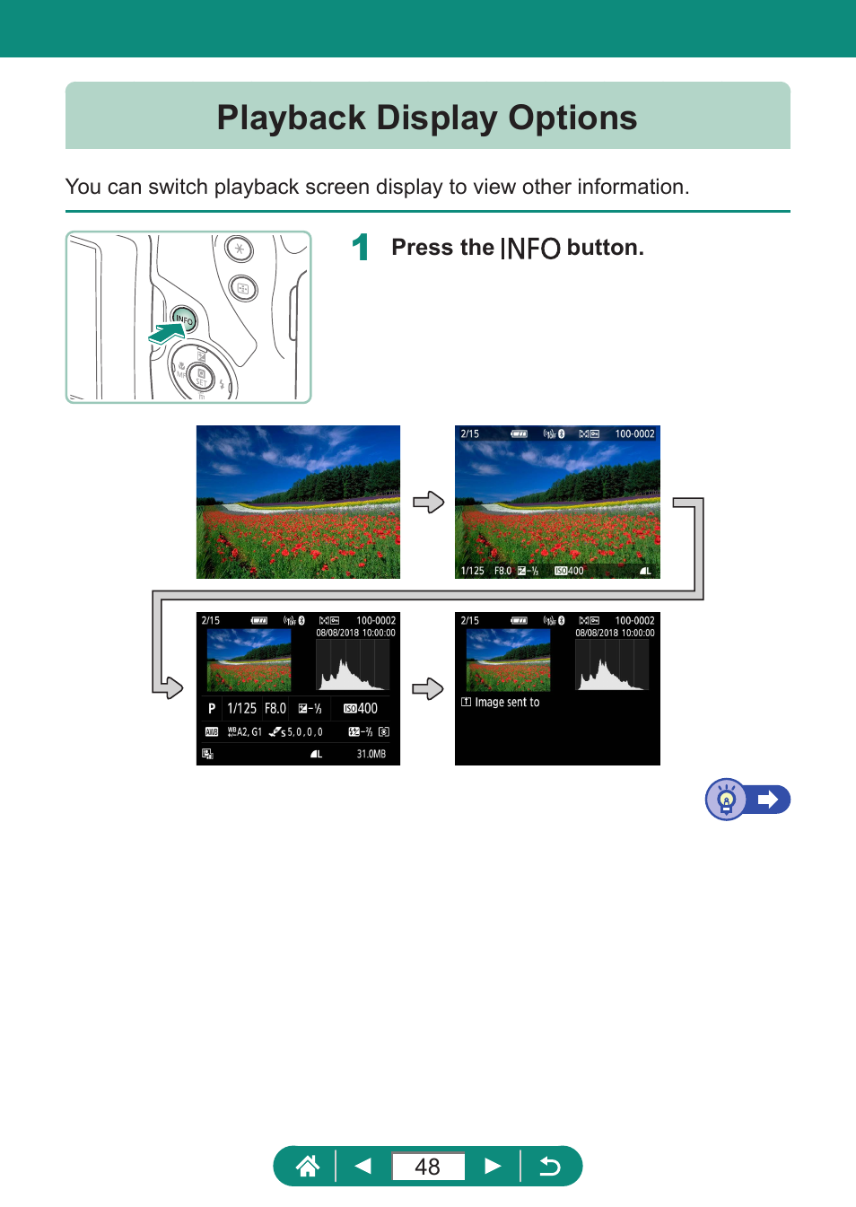 Playback display options | Canon PowerShot SX70 HS Digital Camera User Manual | Page 48 / 289