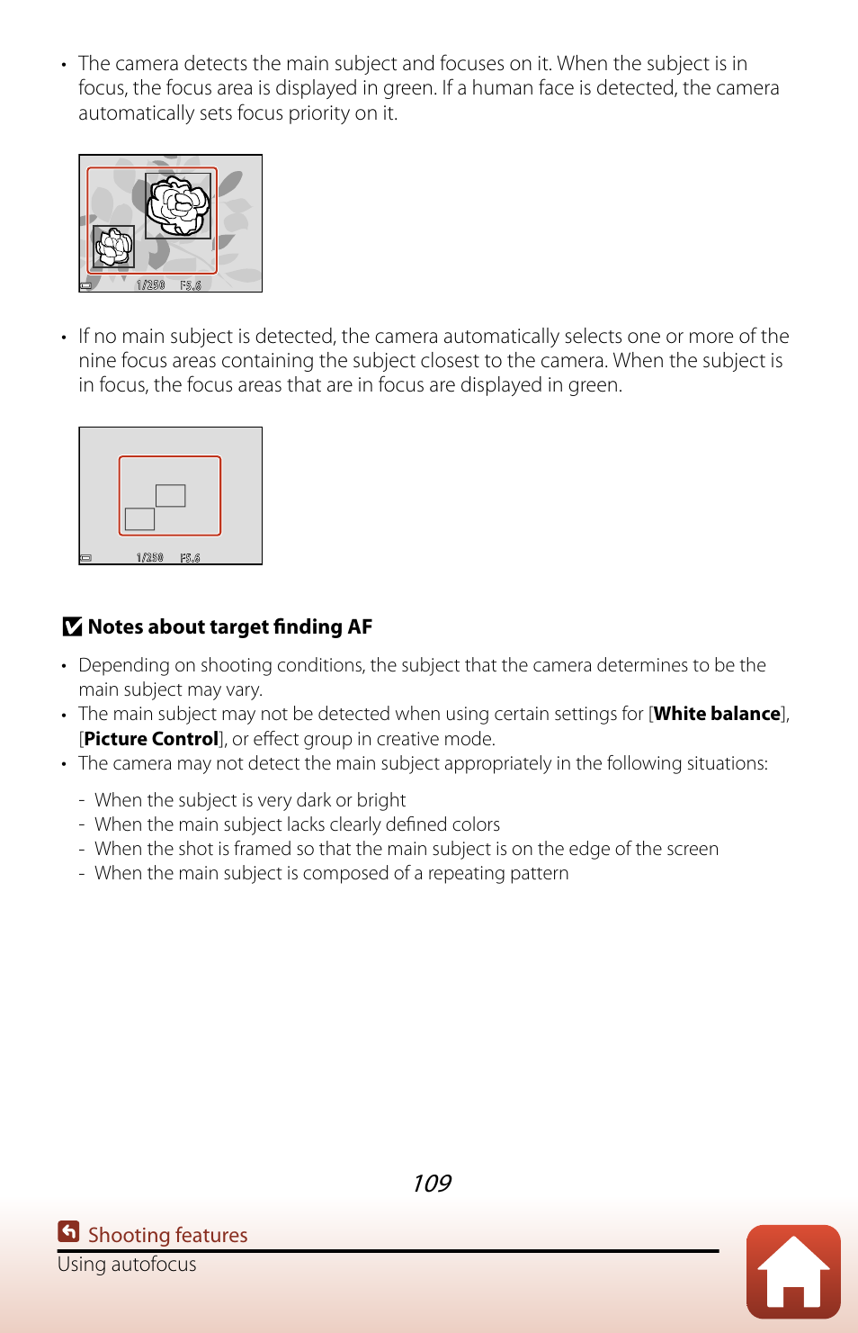 Nikon COOLPIX P950 Digital Camera User Manual | Page 109 / 306