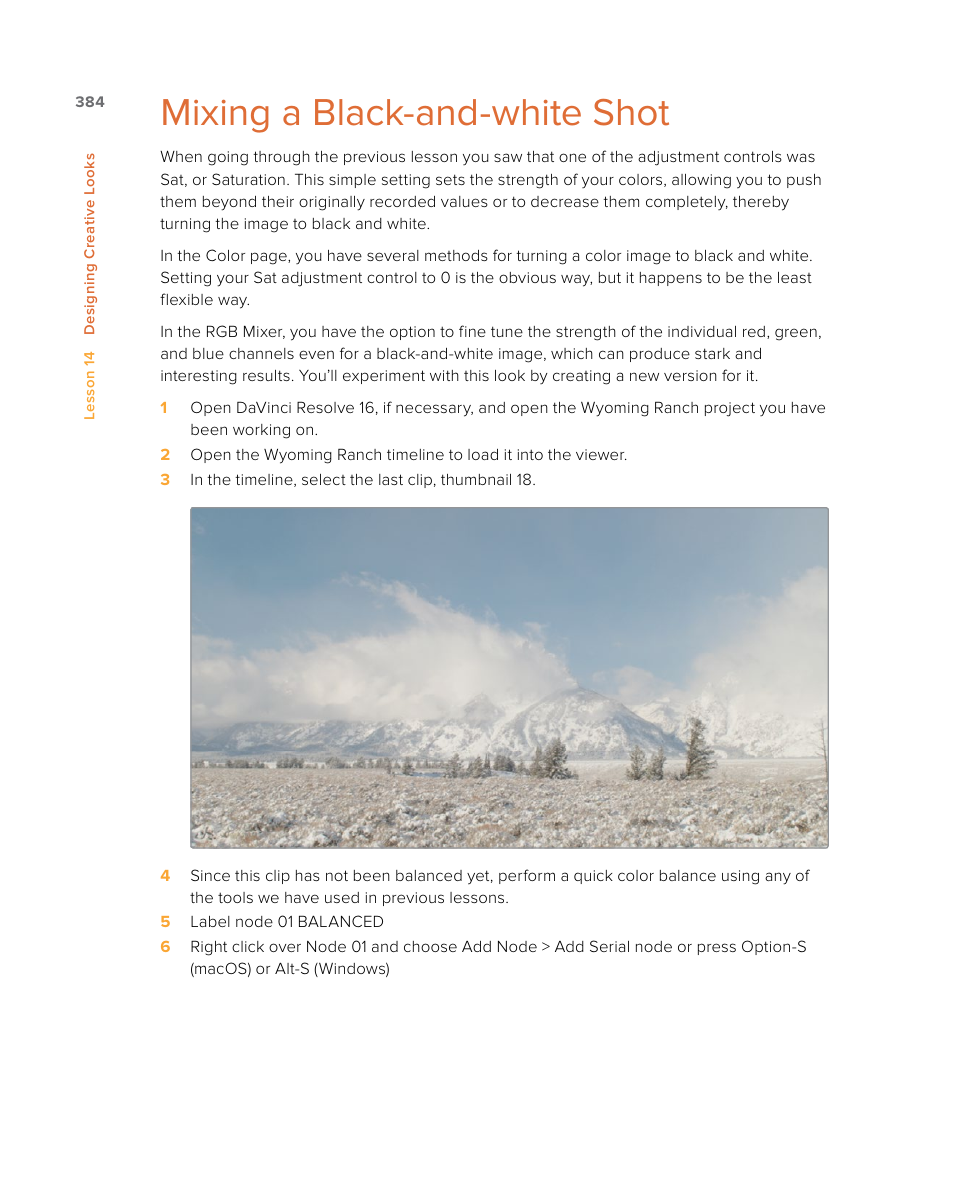 Mixing a black-and-white shot | Blackmagic Design DaVinci Resolve Studio (Dongle) User Manual | Page 399 / 444