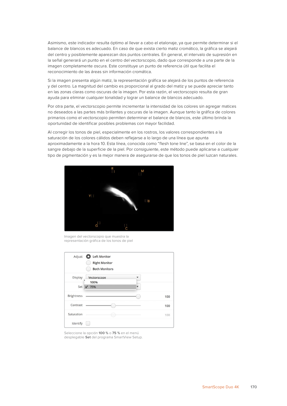 Blackmagic Design SmartView 4K 2 15.6" DCI 4K Broadcast Monitor (6 RU) User Manual | Page 170 / 419