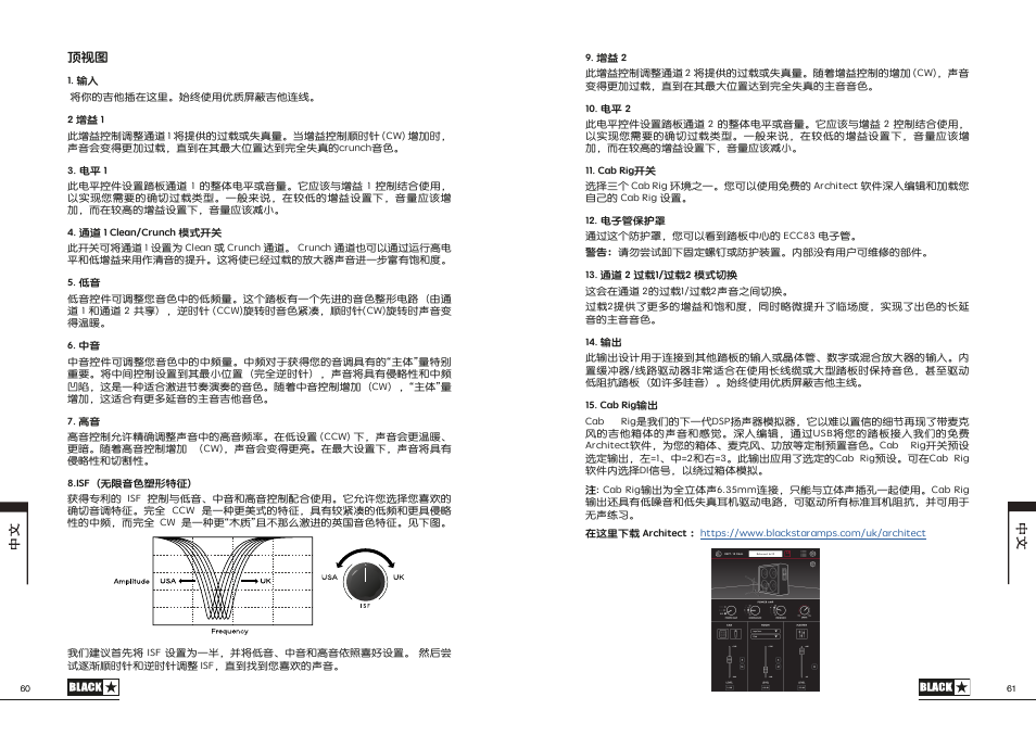 Blackstar Dept. 10 Dual-Drive Pedal User Manual | Page 31 / 34