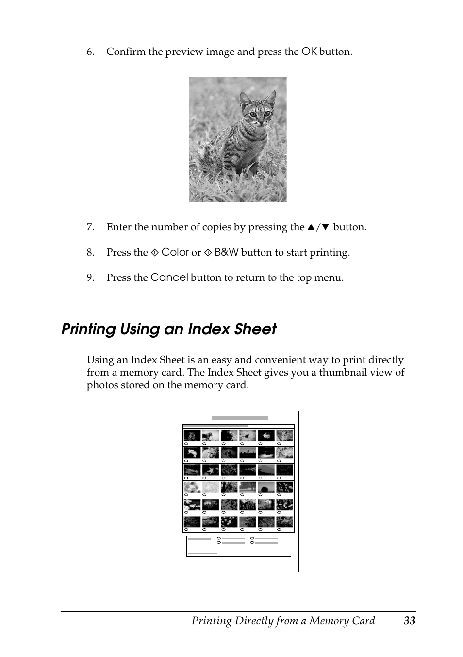Printing using an index sheet | Epson RX600 User Manual | Page 33 / 89