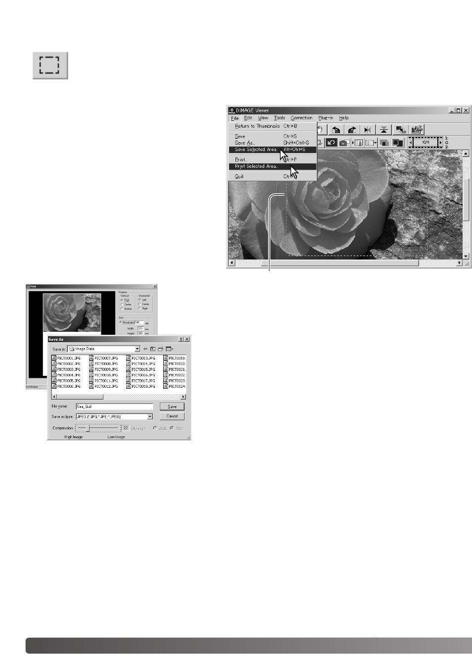 background image