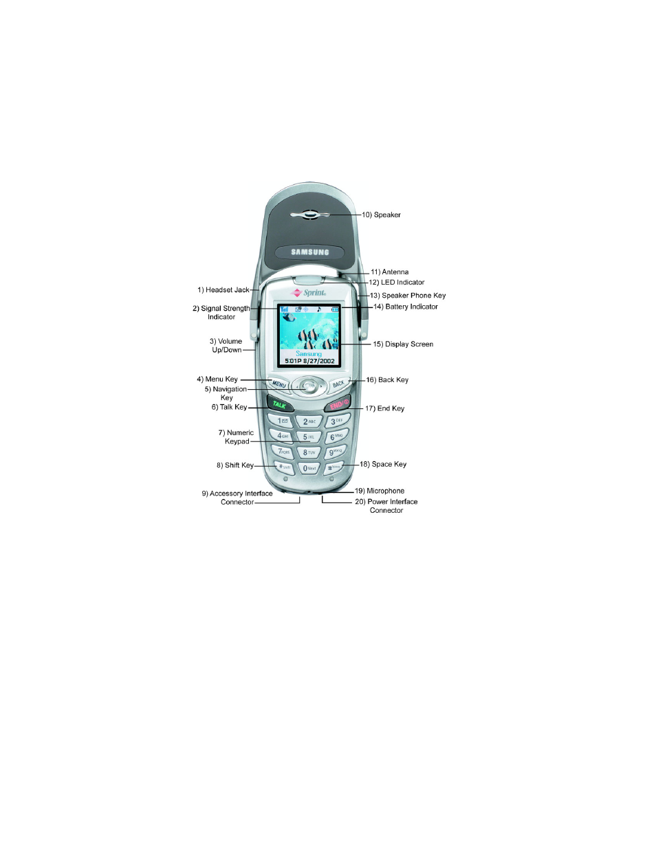 background image