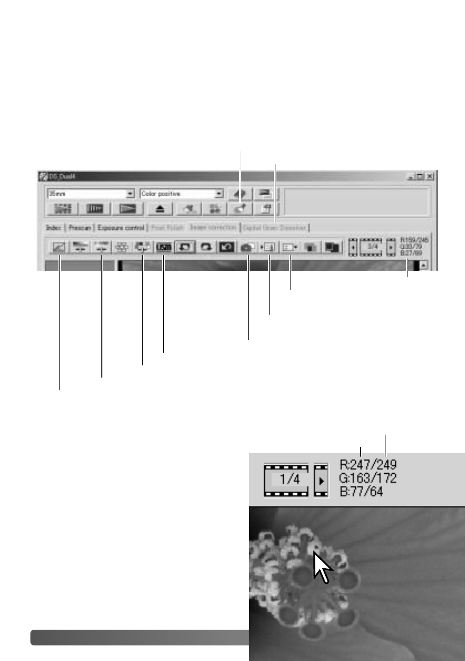 background image