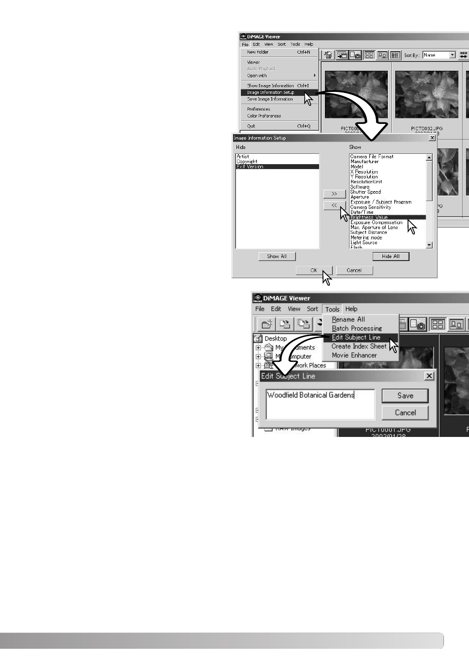 background image