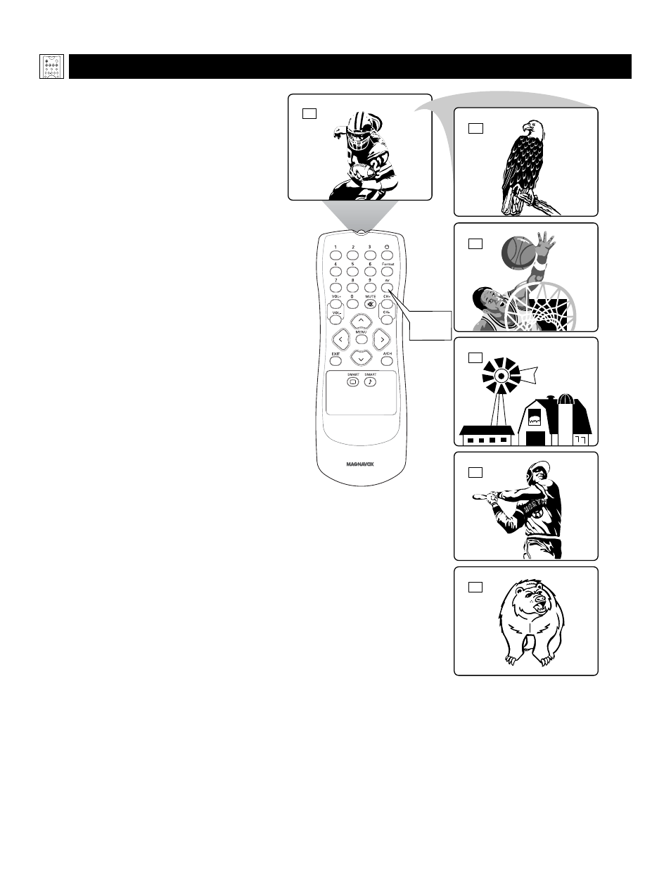 background image