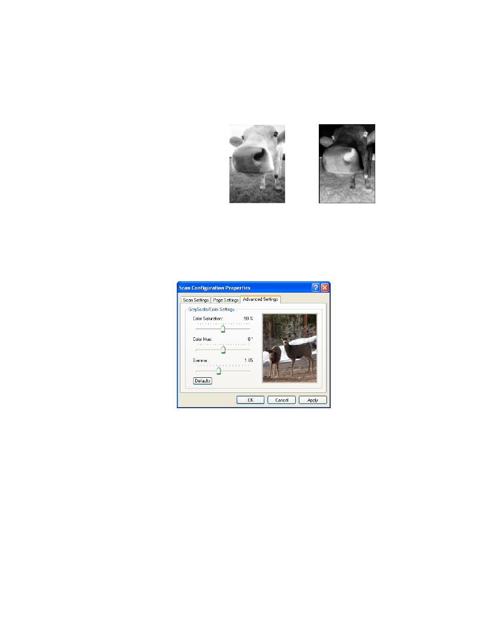 background image