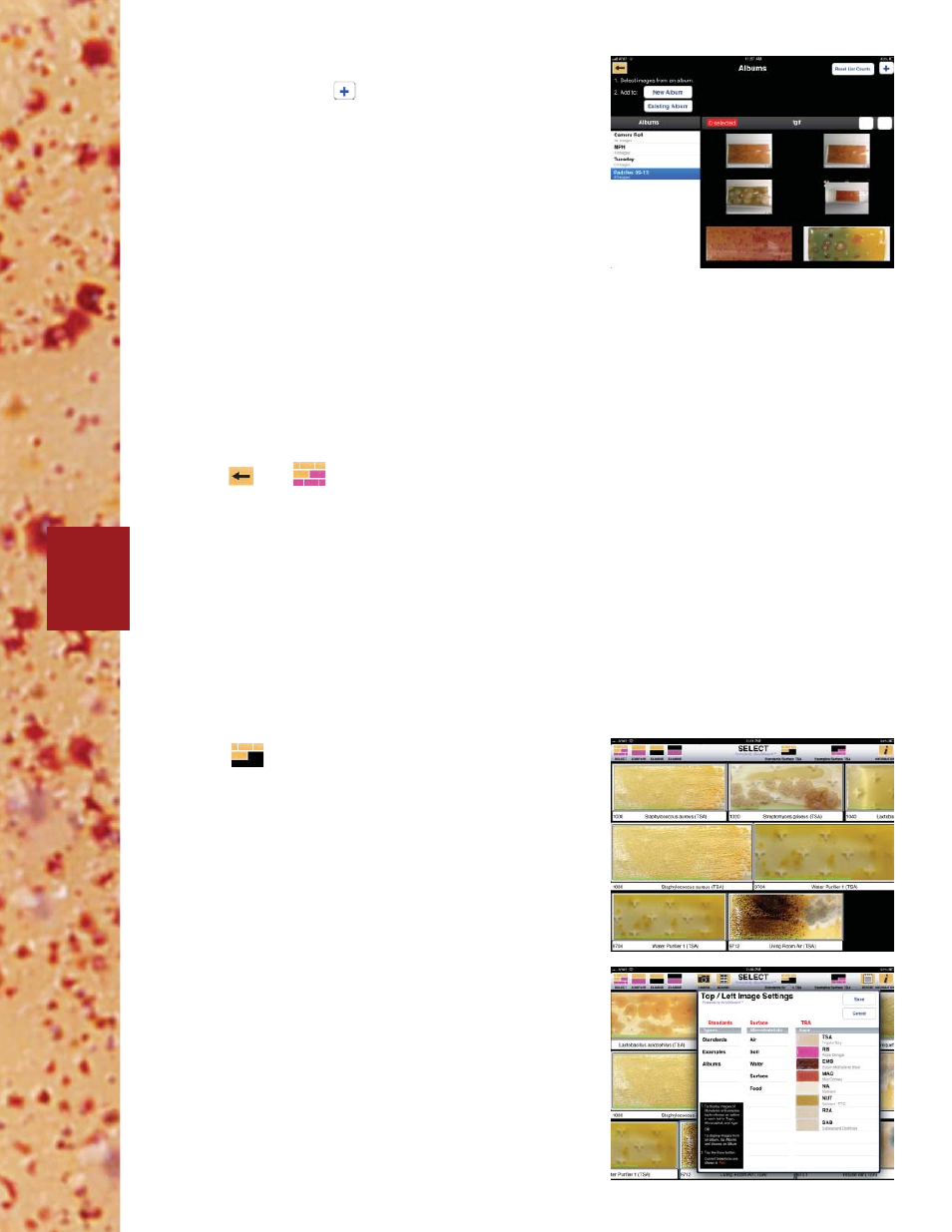 background image