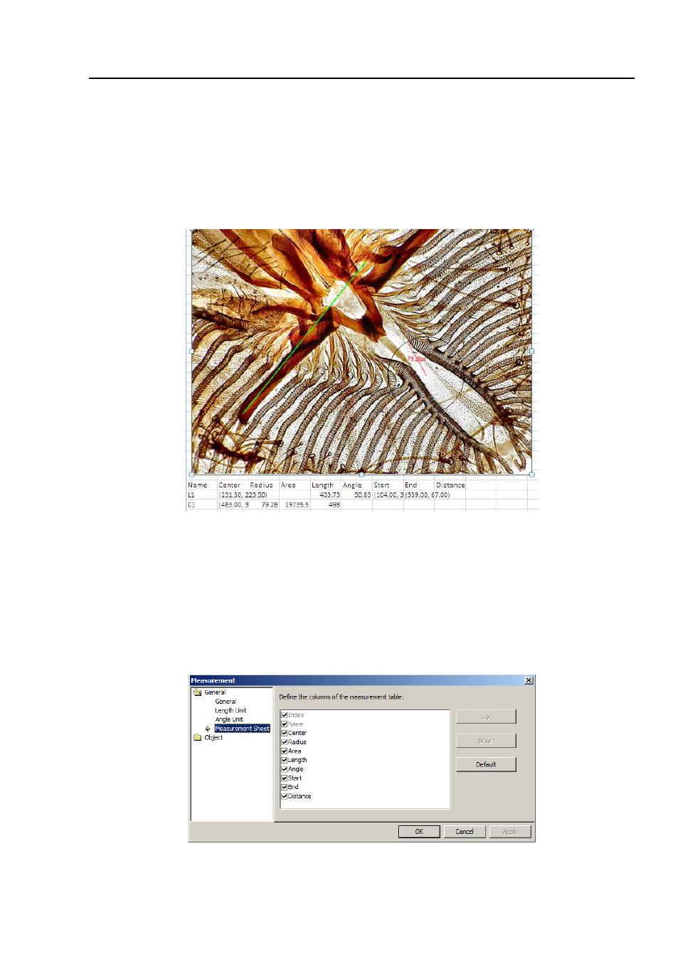 background image